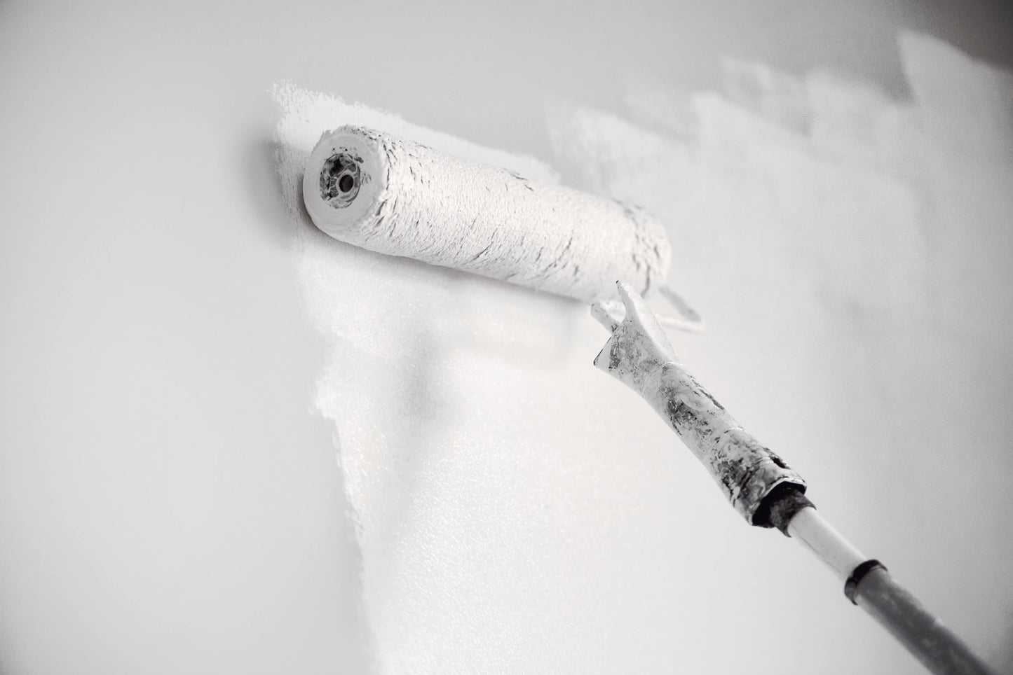 Primer & Paint